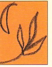 pc sécurité dsea 021