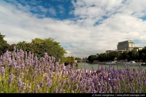 normal_jardin-avec-vue-sur-seine.jpg