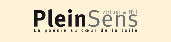 PleinSens virtuel jaune