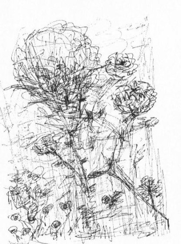 pc sécurité dsea 010