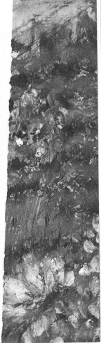 pc sécurité dsea 012